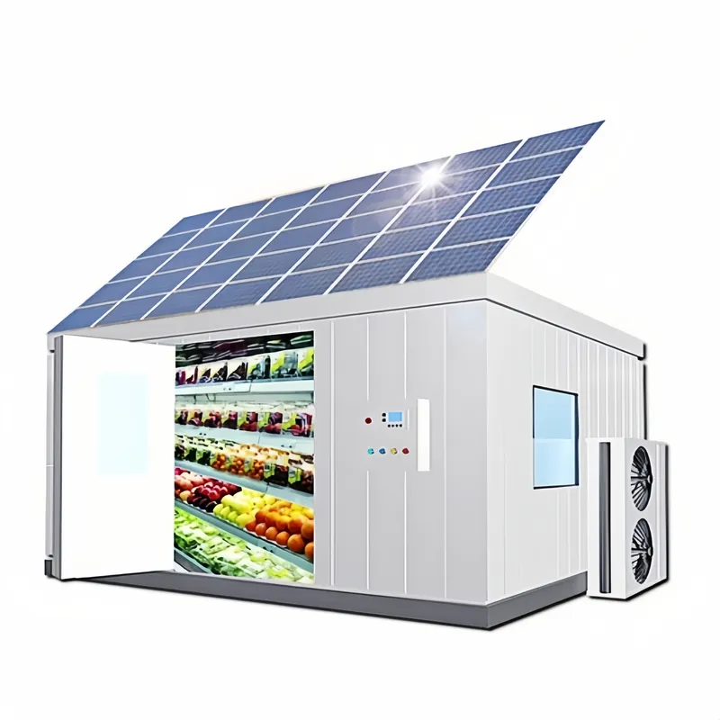 Power Tools Store - Solarbetriebener begehbarer Kühlraum für netzunabhängige Farmen,